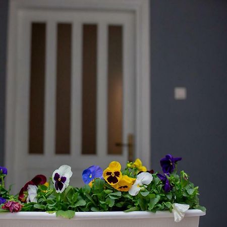 Apartmani Sunset Rogotin Εξωτερικό φωτογραφία